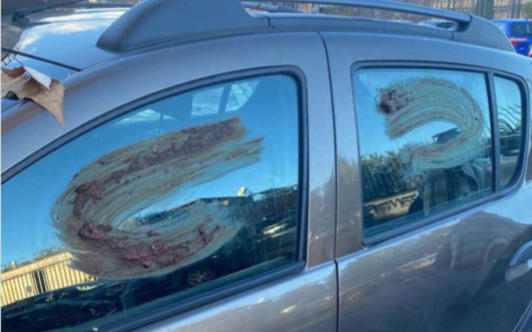Shpalmen torna a colpire a Roma: imbrattata con escrementi una macchina a Trastevere