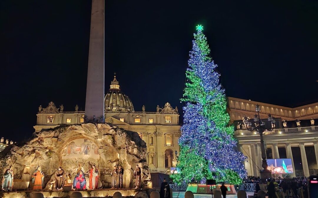 A Piazza San Pietro inaugurati l’albero di Natale e il presepe come simboli di pace e speranza