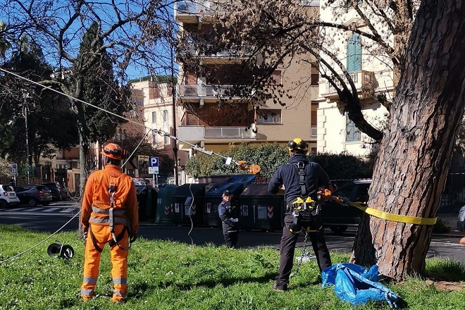 A Corso Trieste per tutta la giornata verifica delle condizioni statiche dei pini