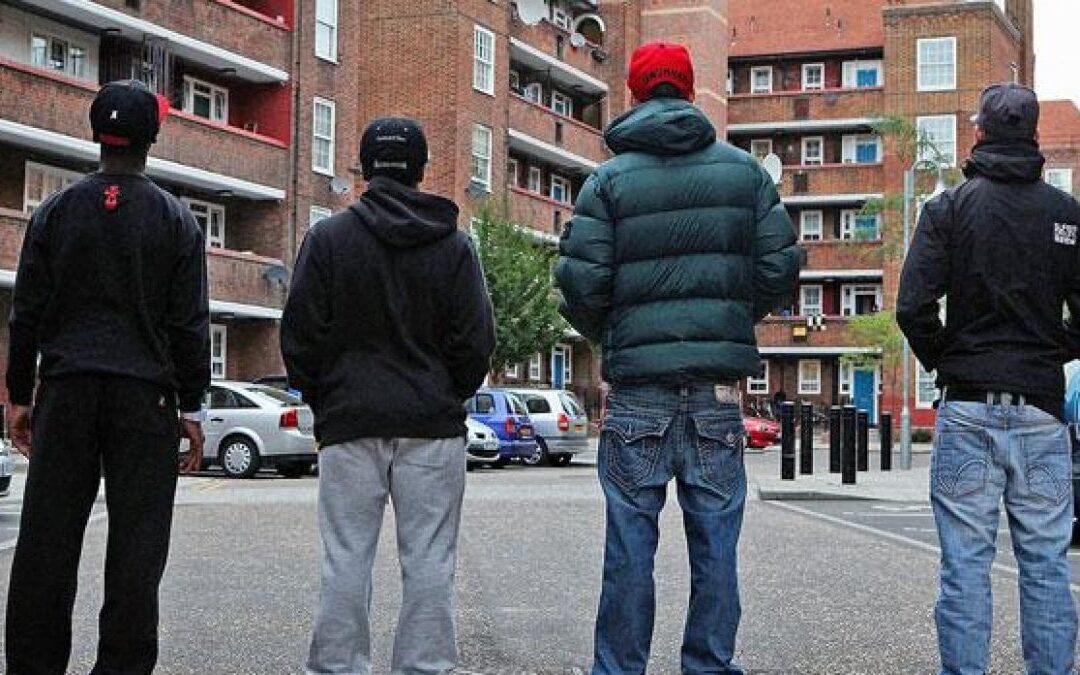 Il Comune scende in campo contro le bay gang, il piano del sindaco Gualtieri
