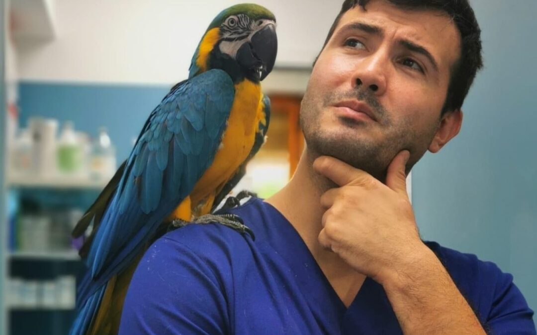 Addio DottorPet, oggi i funerali di Marco Petrini