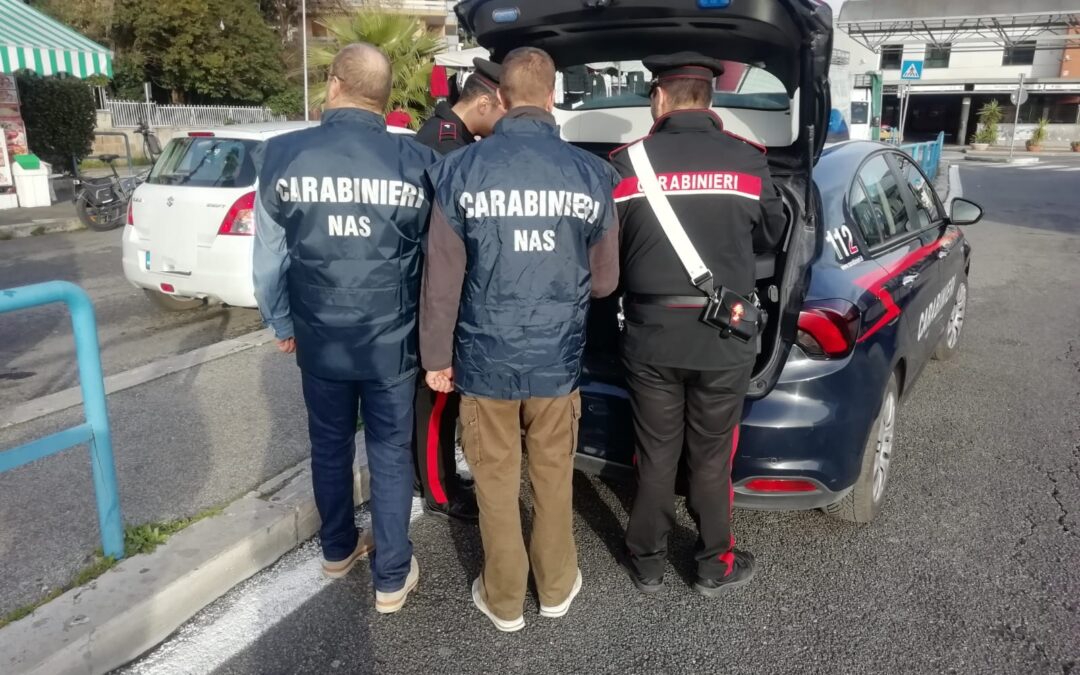 Nas e Carabinieri chiudono due attività per mancanza di regole igieniche