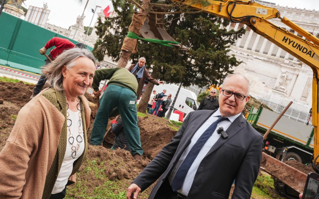 Tornano i pini a Piazza Venezia, presenti il sindaco Gualtieri e l’assessora Alfonsi