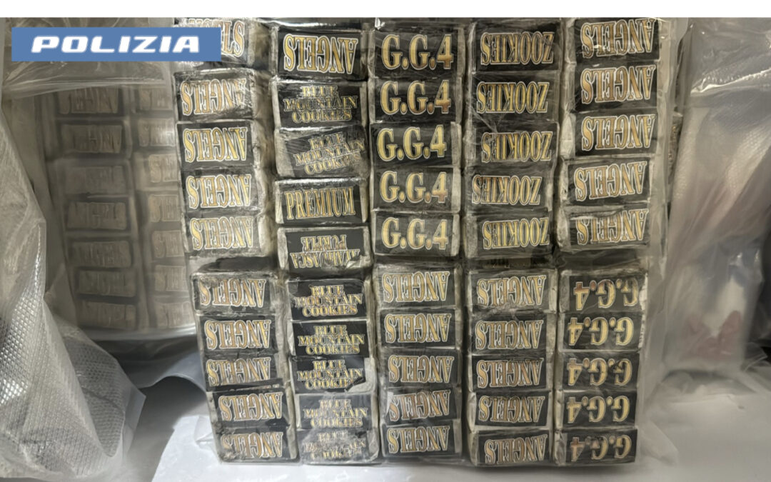Nascondeva 1 tonnellata di hashish nel congelatore. Arrestata 51enne romana