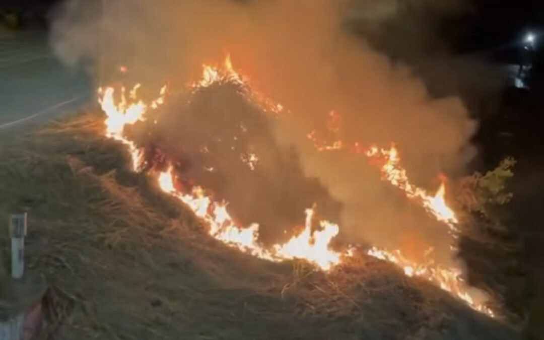 Fiamme a ridosso dello stadio Olimpico