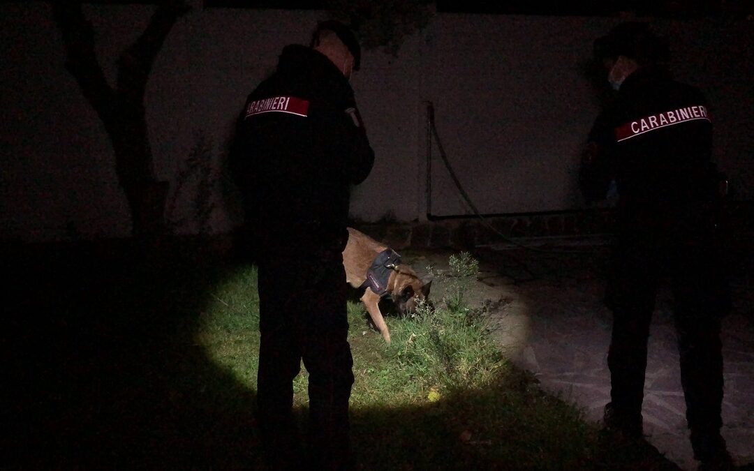 Blitz antidroga dei Carabinieri,15 persone finiscono in manette