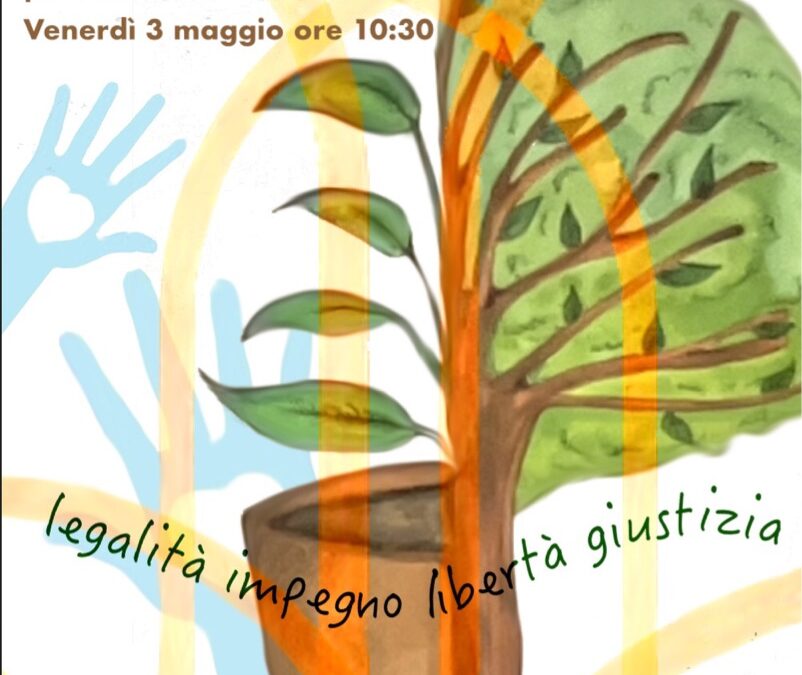 Ciampino, l’IC Da Vinci per l’albero di Falcone