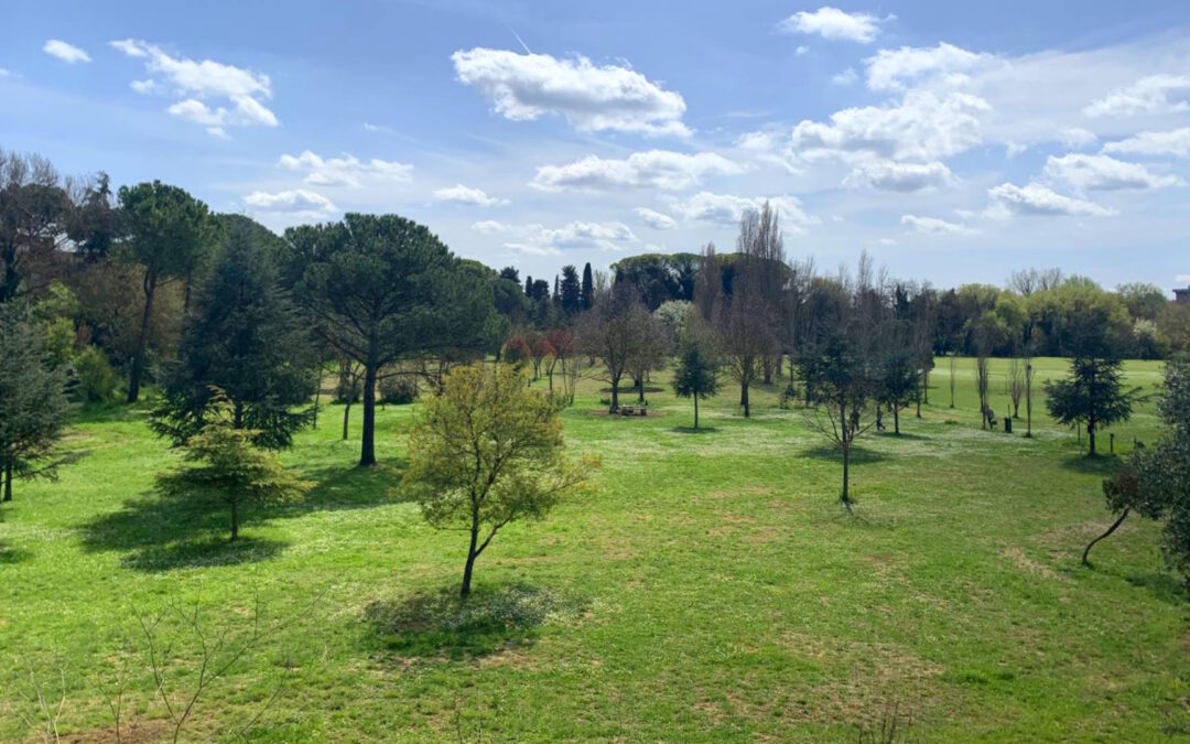 Donna aggredita in un parco mentre era con il suo cane picchiato dall’uomo prima di fuggire