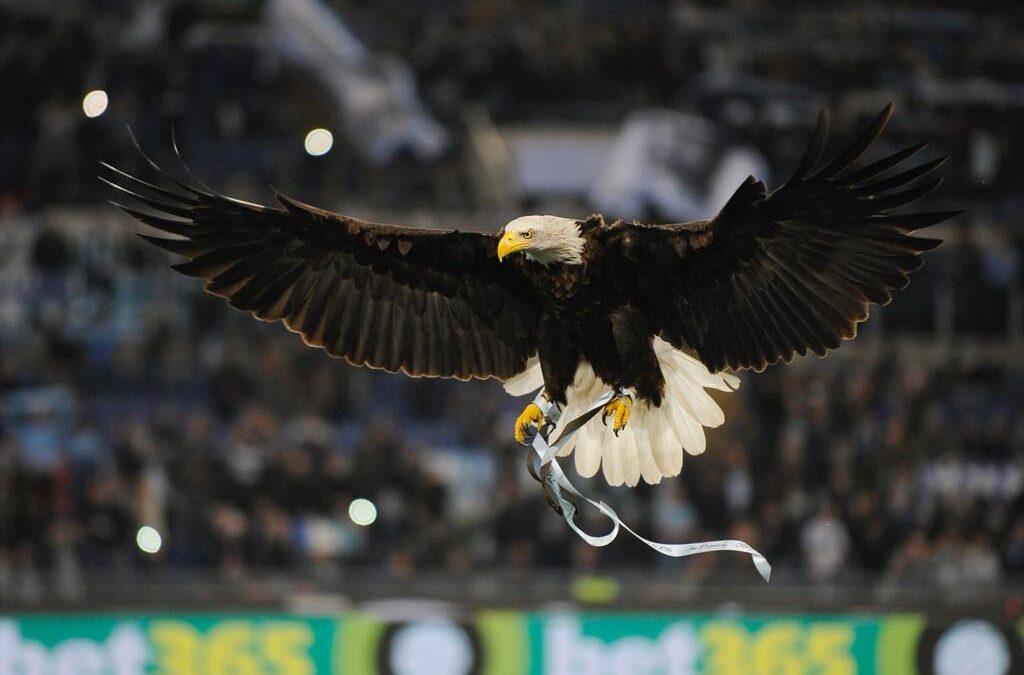 Lazio, l’aquila Olympia protagonista per i 50 anni della conquista del primo scudetto