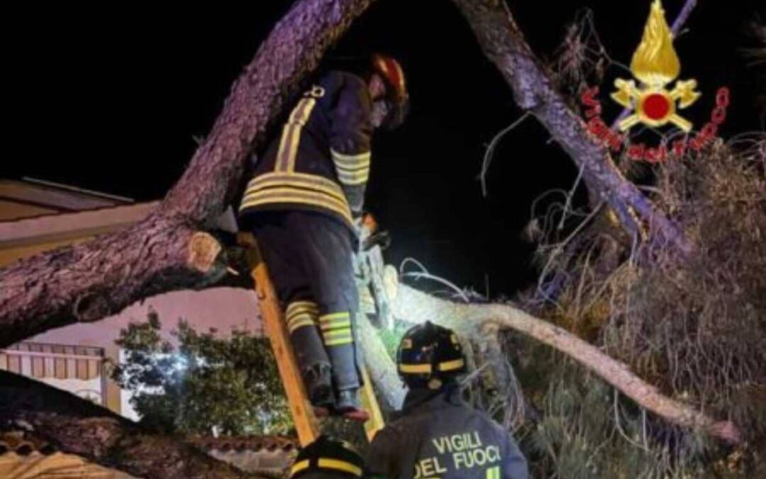 Santa Marinella: albero caduto rompe una tubatura del gas, paura nel quartiere