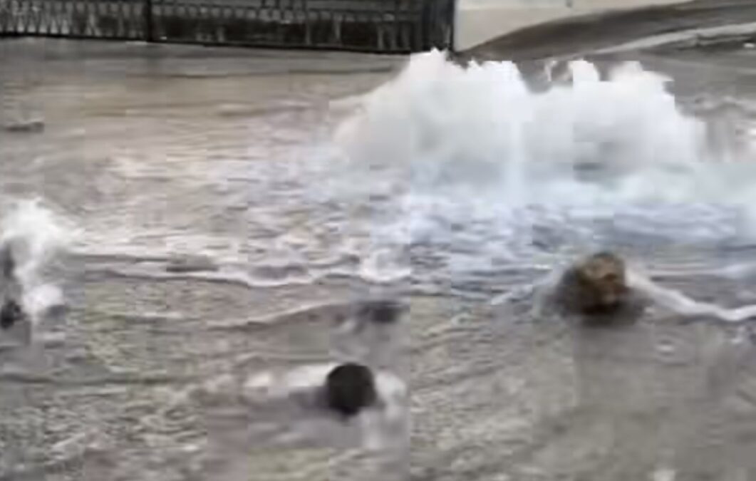 Scoppia una tubatura dell’acqua in via Battistini, disagi per i residenti e gli automobilisti