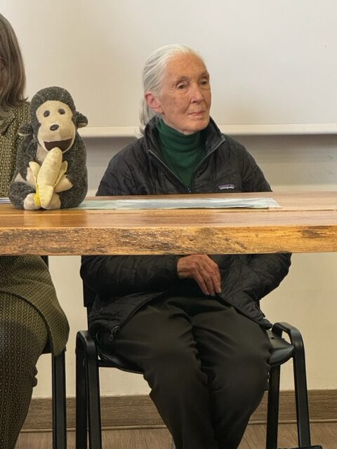 Jane Goodall, dopo il palco del 1 maggio, al Bioparco per parlare del benessere degli scimpanzé