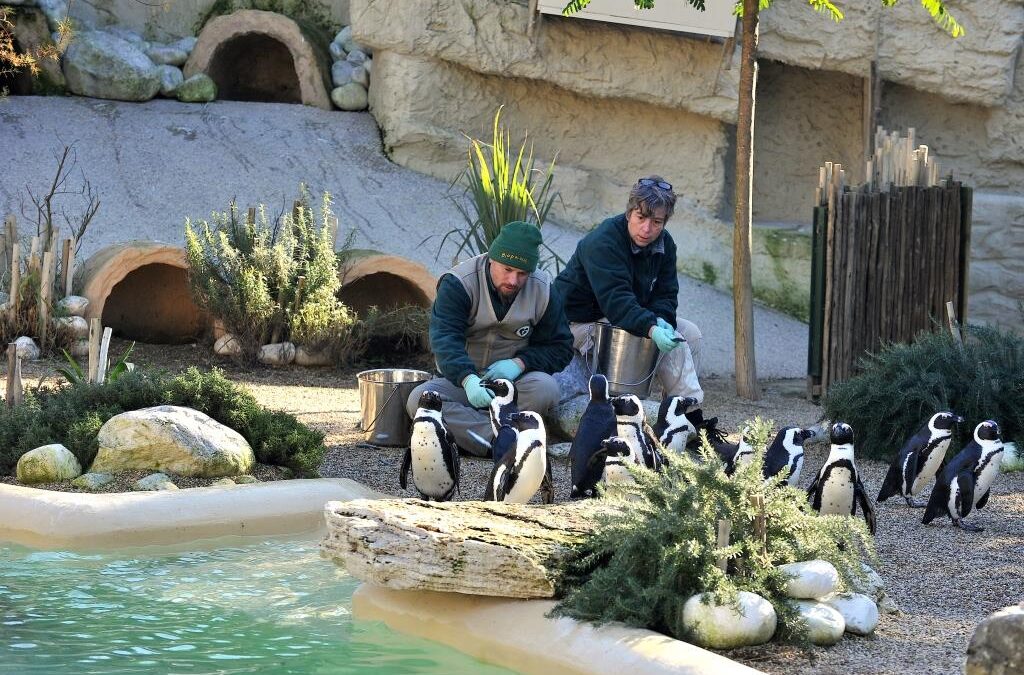 Domenica 19 maggio al Bioparco l’evento ‘invertiamo il rosso’