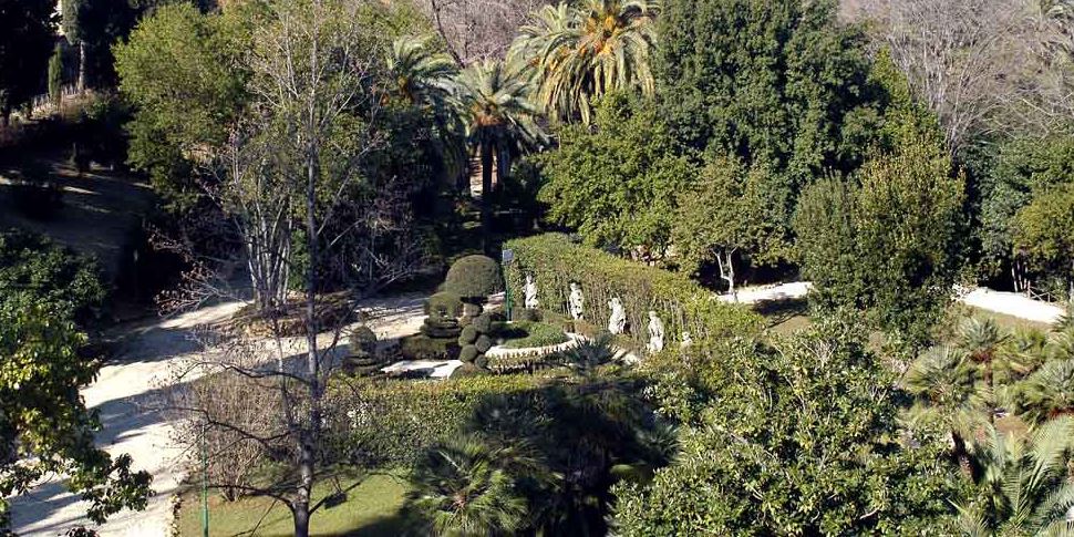 A Villa Sciarra in corso lavori di sostituzione delle alberature