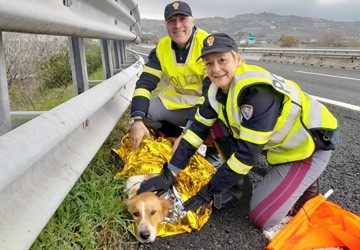 #senontiportononparto: spot della Polizia di Stato contro l’abbandono degli animali
