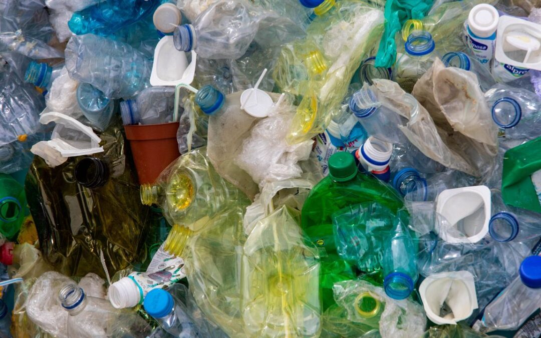 Accordo tra Roma Capitale, Ama e Plastic Free per la riduzione del consumo di plasitica