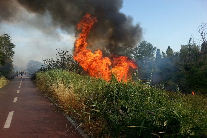 Rischio incendi boschivi, la Protezione Civile di Roma capitale proroga l’ordinanza