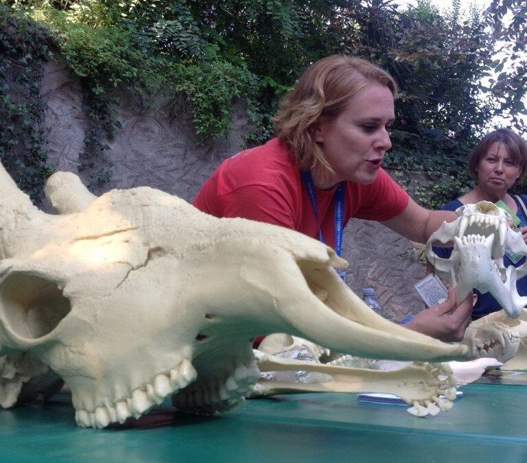 Al Bioparco di Roma tre domeniche dedicate agli ‘Incontri con la natura’
