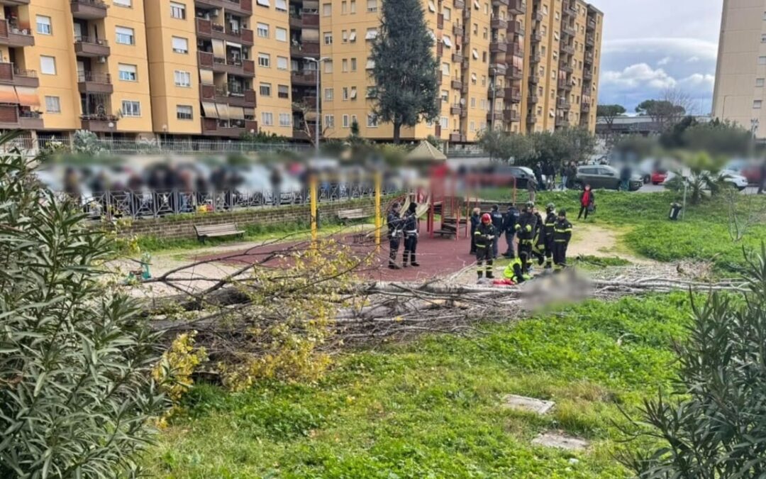 Donna morta schiacciata da albero, Gualtieri: “Sgomento e cordoglio della città ai familiari”