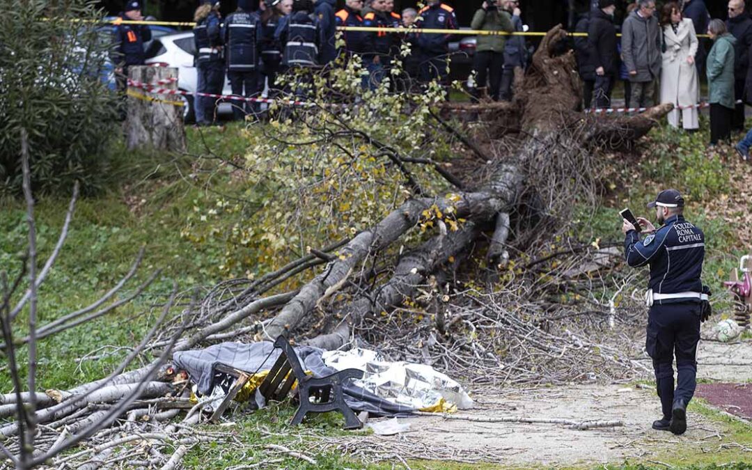 Cicculli-Luparelli (Sce Campidoglio): “Donna morta per albero caduto, cordoglio e sostegno monitoraggio alberature”
