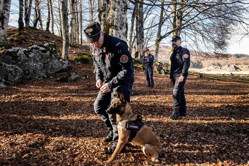 Ponzano Romano, scoperto allevamento abusivo di Husky: una denuncia