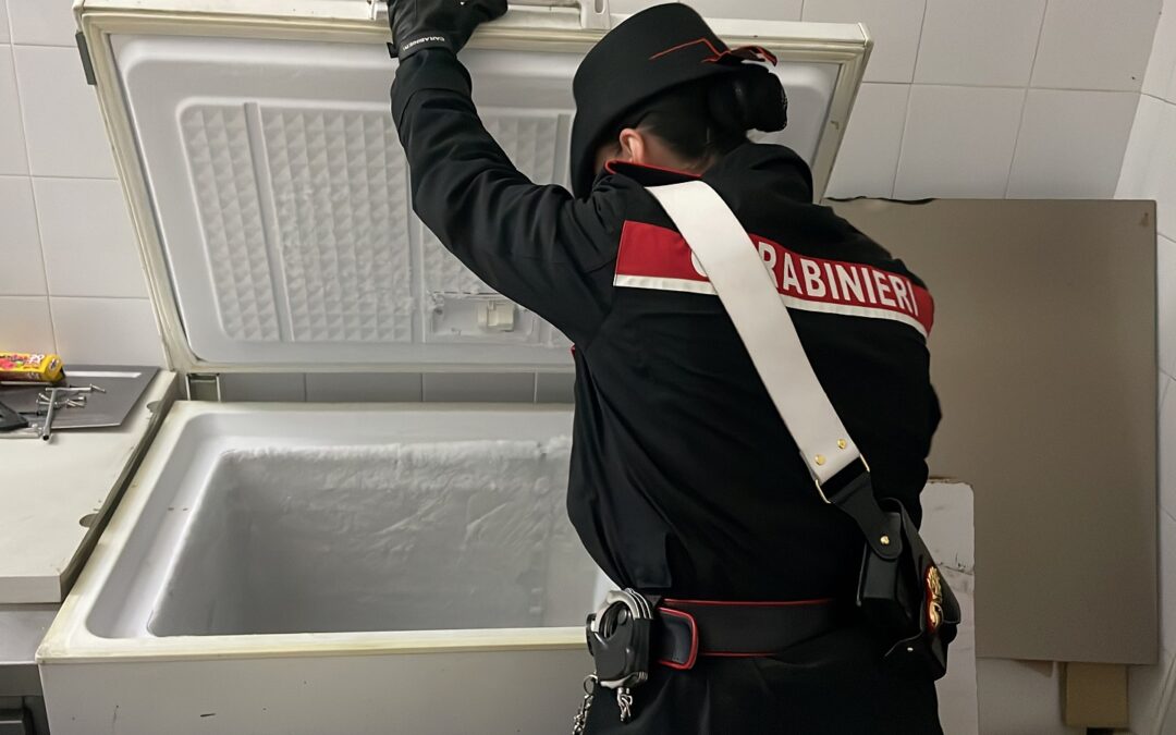 Capena, i Carabinieri distruggono 15 kg di pesce e carne di dubbia provenienza