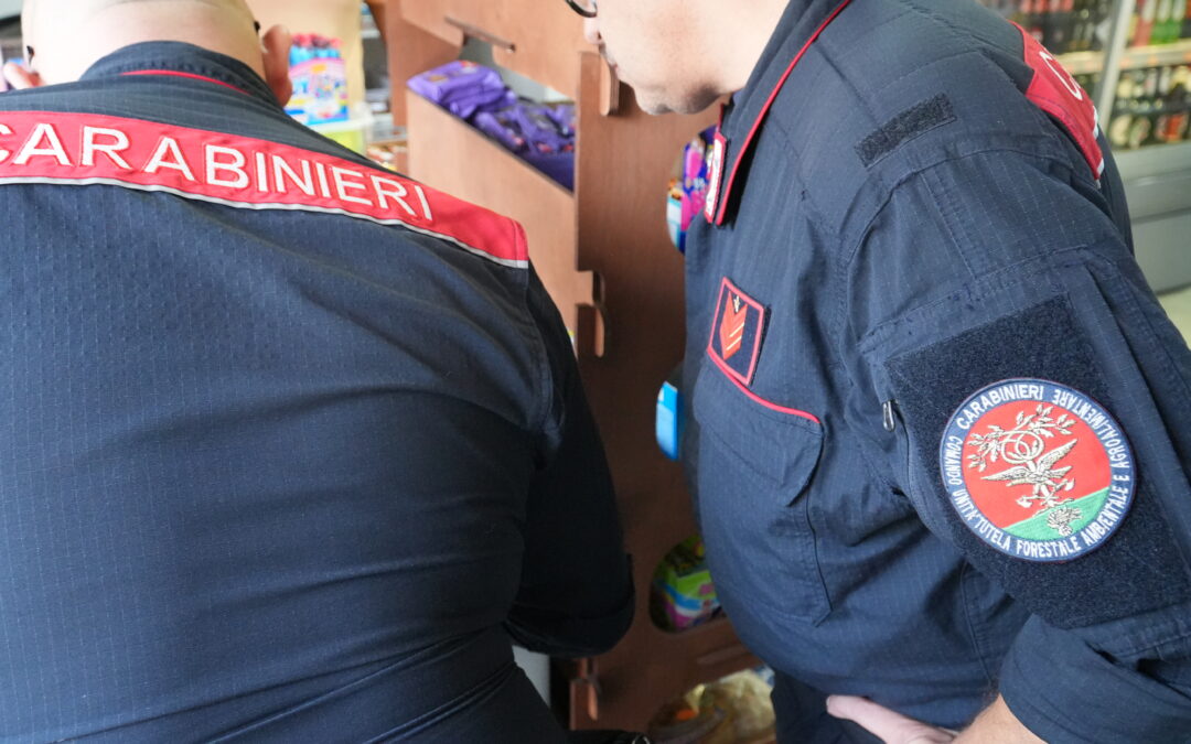 Controlli dei Carabinieri alla Cecchignola e Laurentino 38. Quattro le persone denunciate