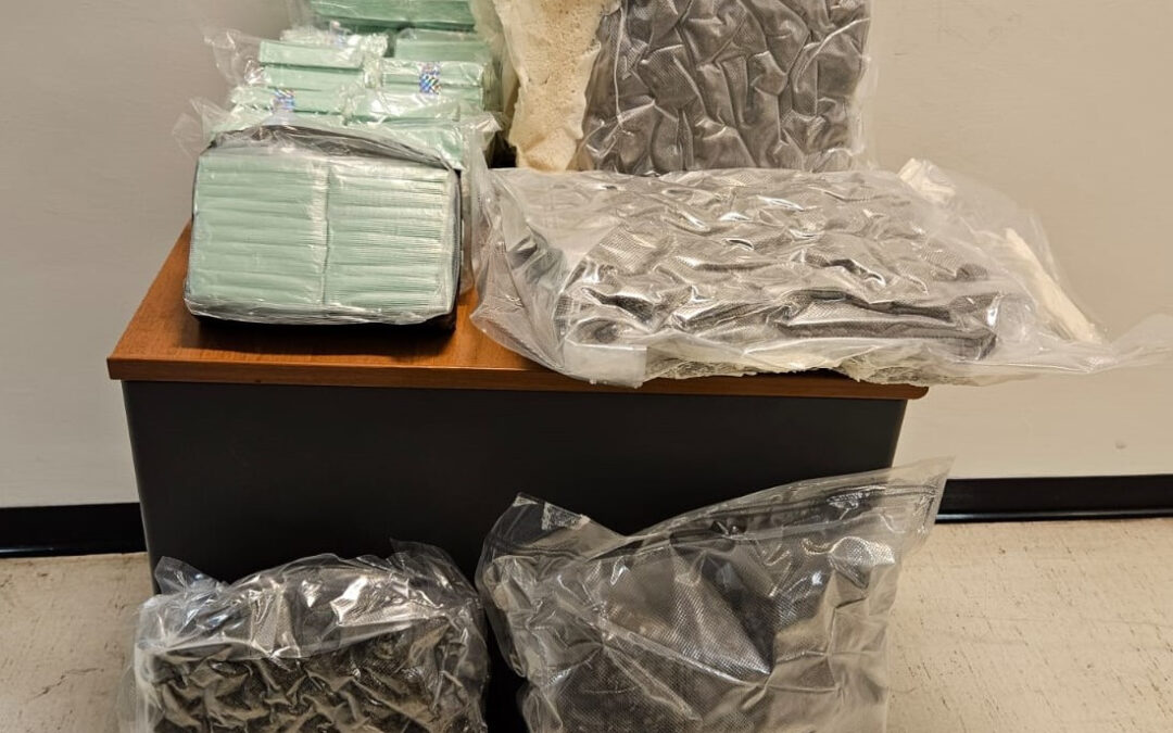 Trasportava 11 chili di hashish in una borsa frigo, 46enne arrestato dalla Polizia