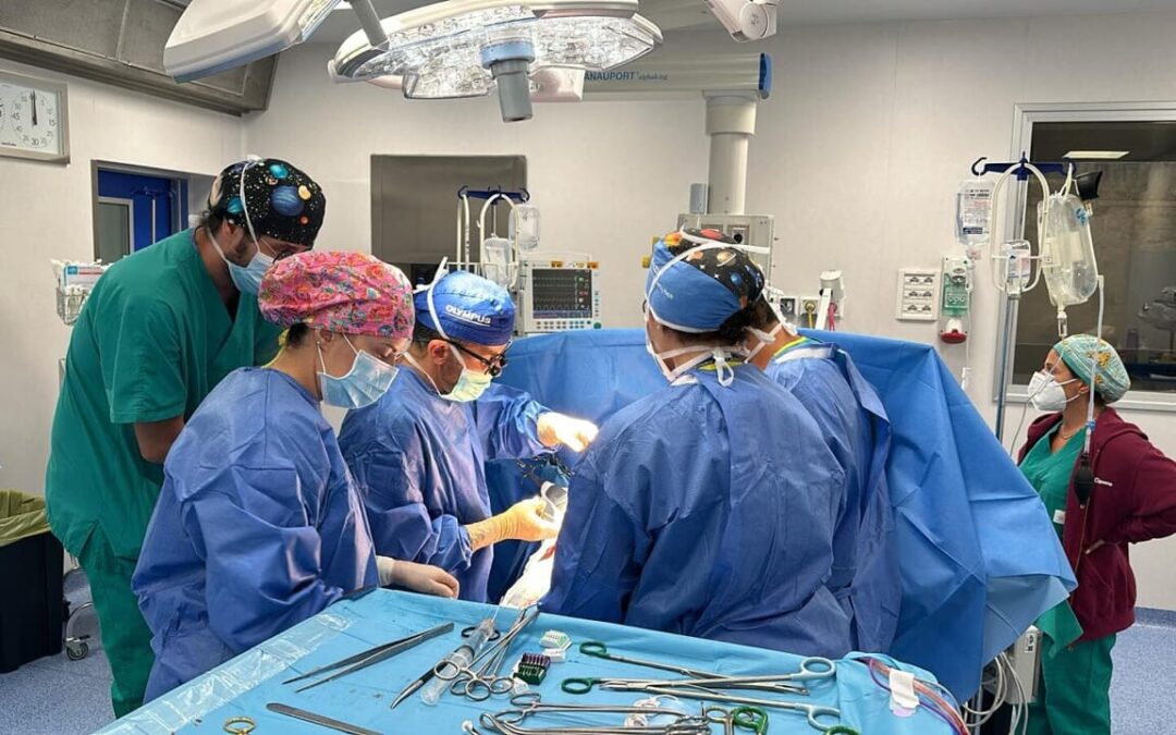 Centro nazionale e regionale trapianti in team all’Umberto I e Spallanzani salvano la vita a 4 pazienti