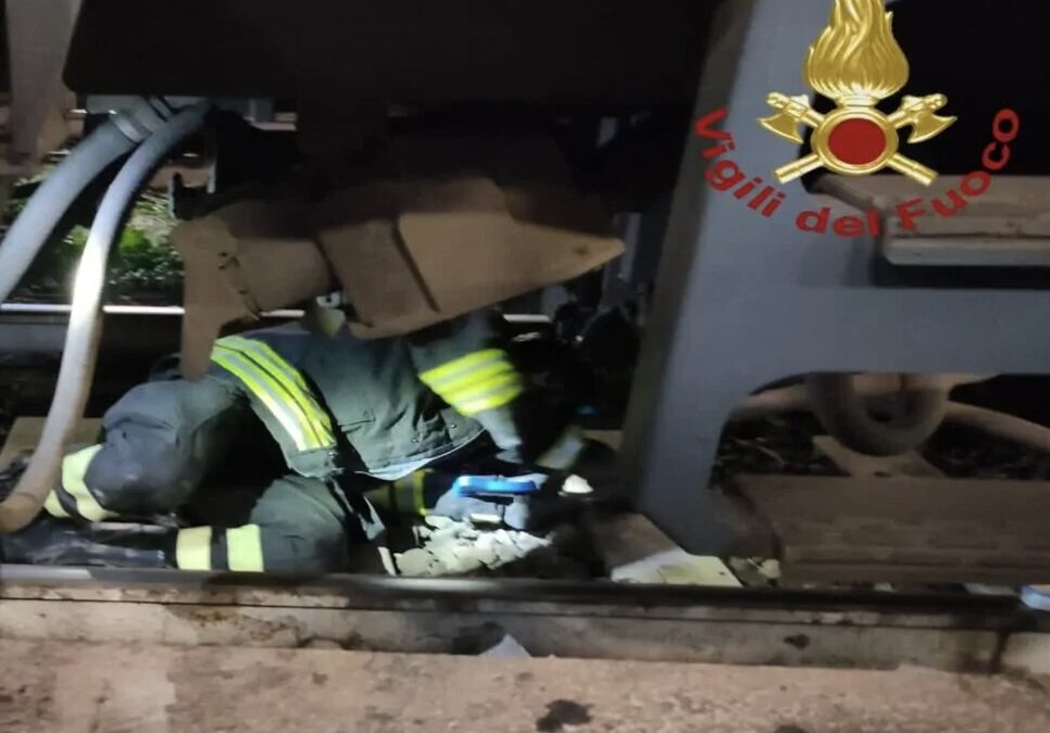 Gatto fugge da casa e si nasconde nelle ruote di un treno, salvato dai Vigili del Fuoco