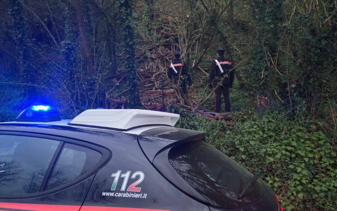 Controlli dei Carabinieri: arrestati due fratelli per aver tagliato legna in un terreno delle Ferrovie
