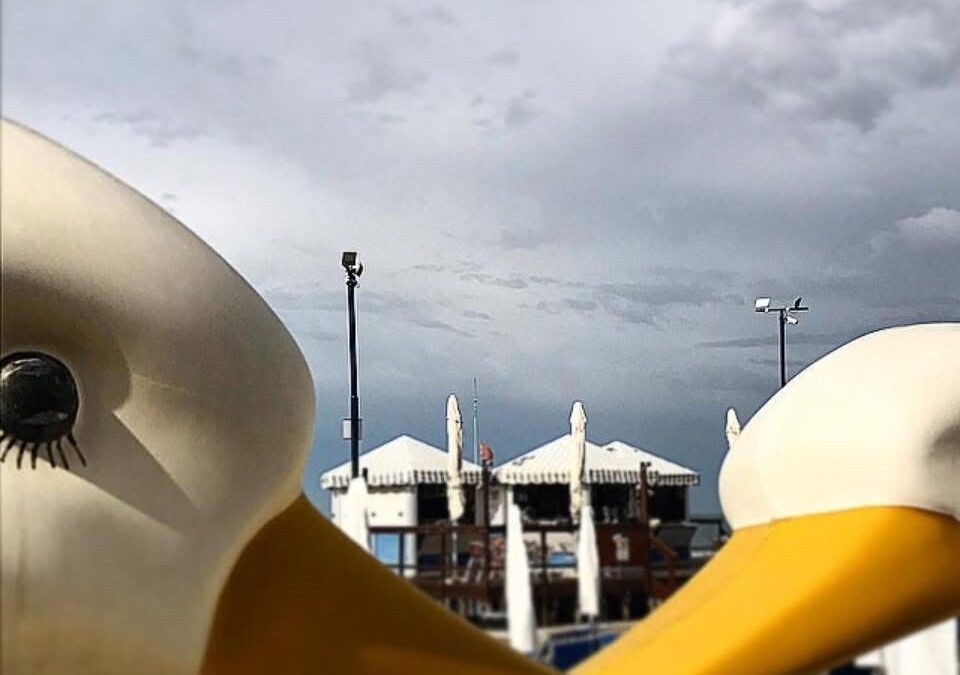 Addio per sempre ai Cigni dello storico Vittoria Beach a Ostia