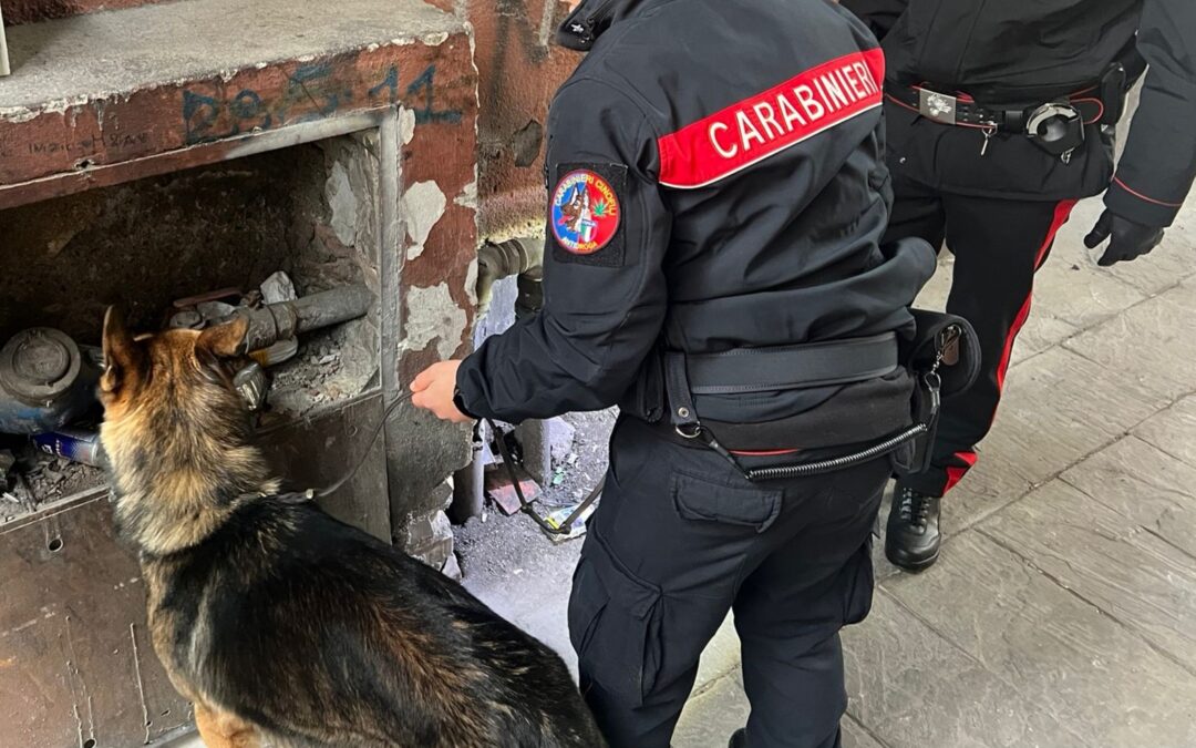 “Centrale droga”, riders consegnavano crack e cocaina al posto della pizza. 6 arresti