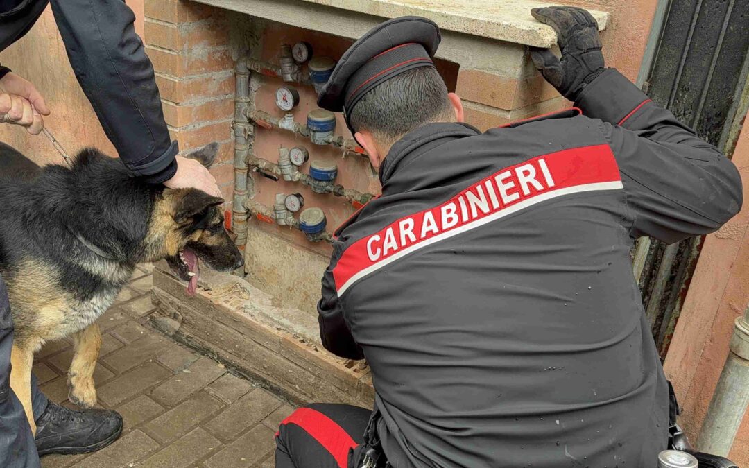Quarticciolo: Carabinieri arrestano 6 persone per spaccio