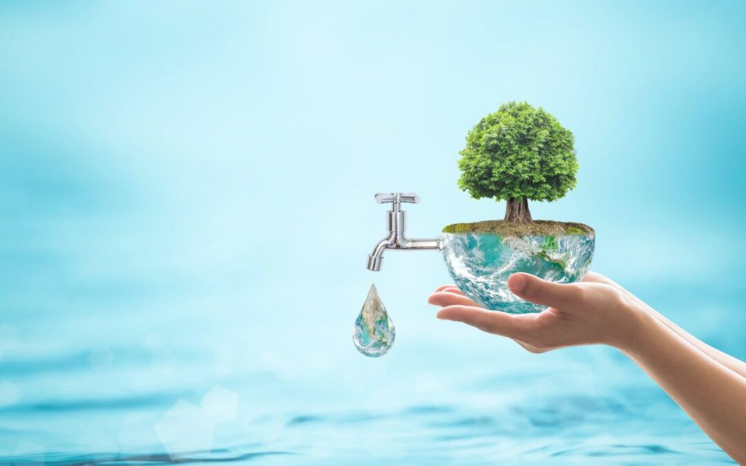 Ladispoli: ordinanza del sindaco Grando per un uso responsabile dell’acqua potabile