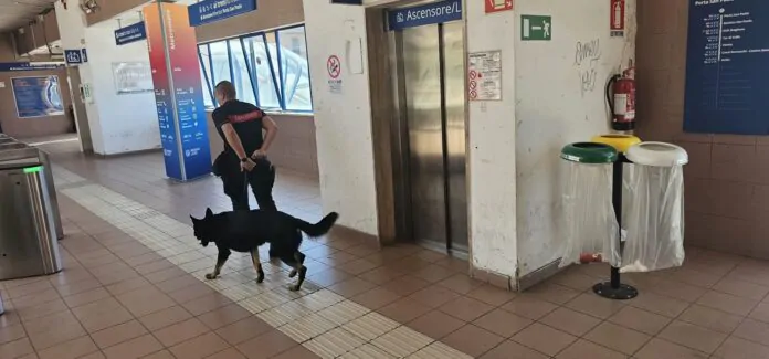 Torrevecchia: bomba carta lanciata nell’androne di un palazzo. Danni ingenti e paura tra i residenti