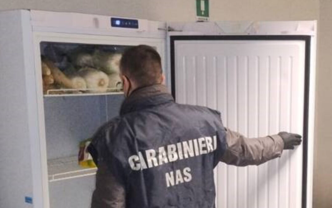 Velletri: mancato rispetto della legge in materia di salute e sicurezza sui luoghi di lavoro