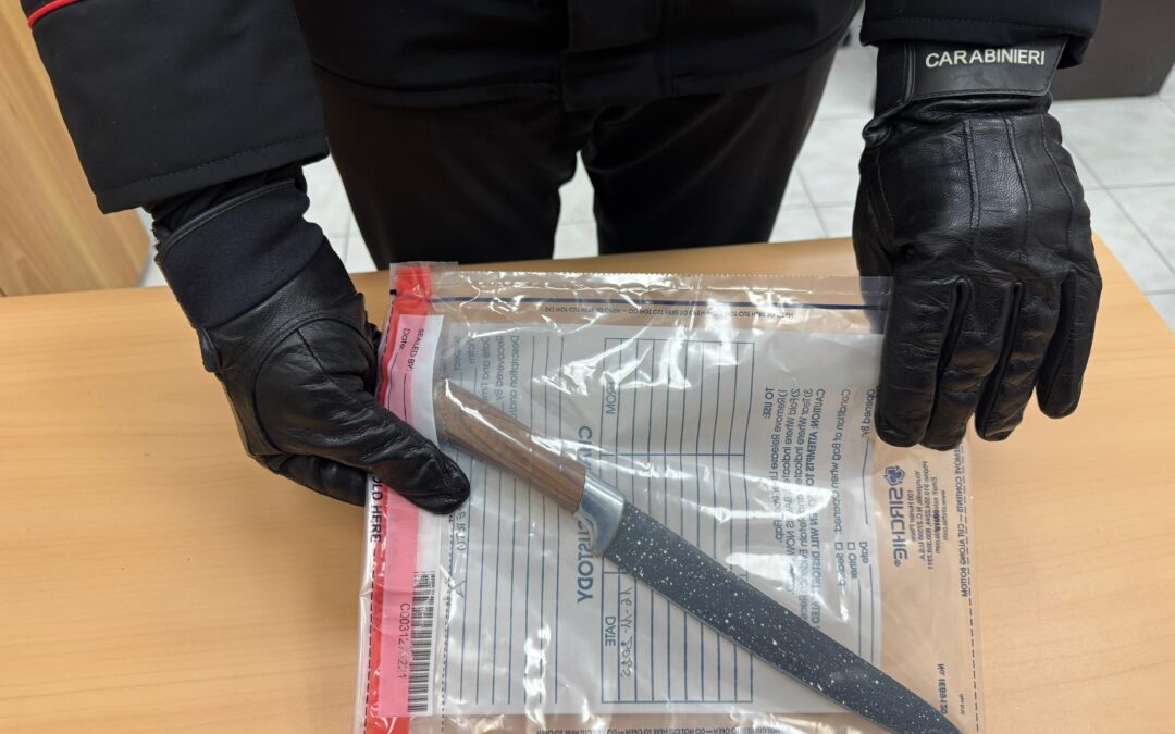 Accoltella il partner dopo lite in famiglia, 35enne arrestata per lesioni aggravate