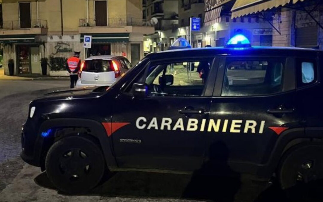 Rapina un negozio e fugge nel bosco, Carabinieri arrestano 50enne