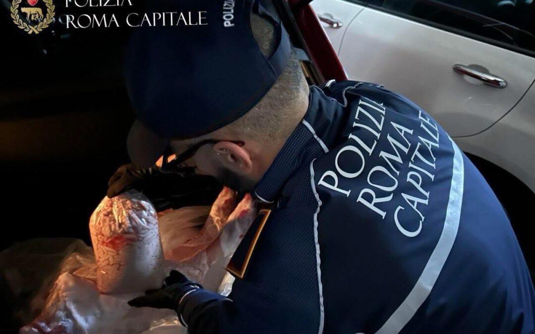 Mercato Esquilino: sequestrata mezza tonnellata di carne stipata nei bagagliai delle auto