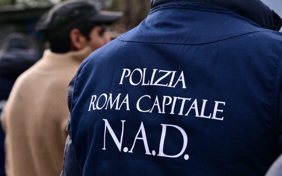 Arrestato svuota cantine che per sfuggire al mandato di cattura utilizzava una falsa identità