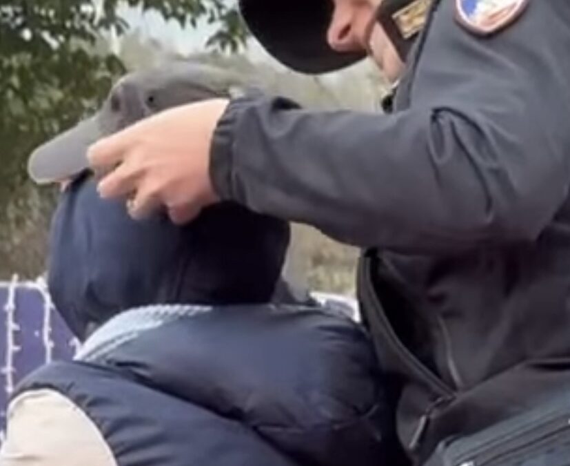 Christmas World e Polizia di Stato. Una giornata speciale per gli studenti romani