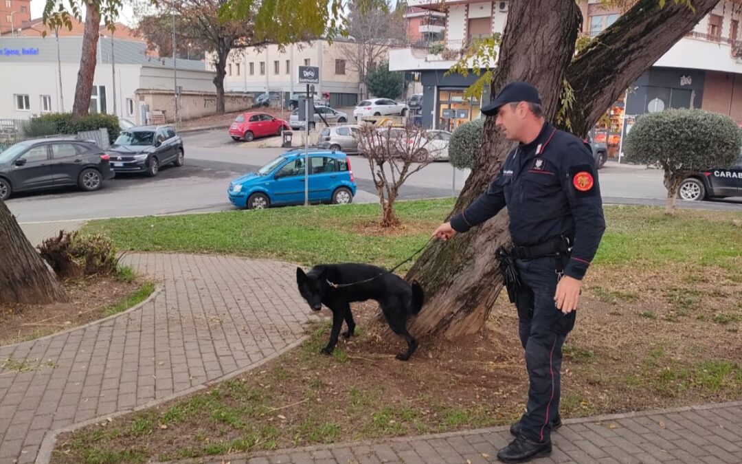 Monterotondo, controlli contro furti e spaccio di droga: 1 arresto e 9 denunce