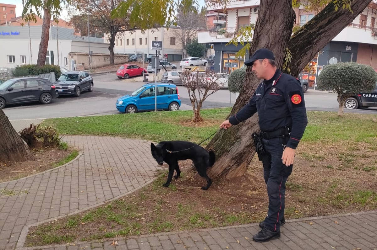wp_dummy_content_generator_1703.jpg