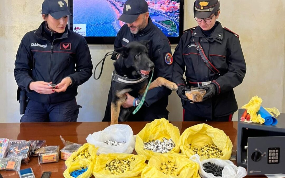 Ostia: blitz dei Carabinieri nel fortino dello spaccio. Il cane Nathan scopre 4 chili di droga pronta per Capodanno. 9 arresti