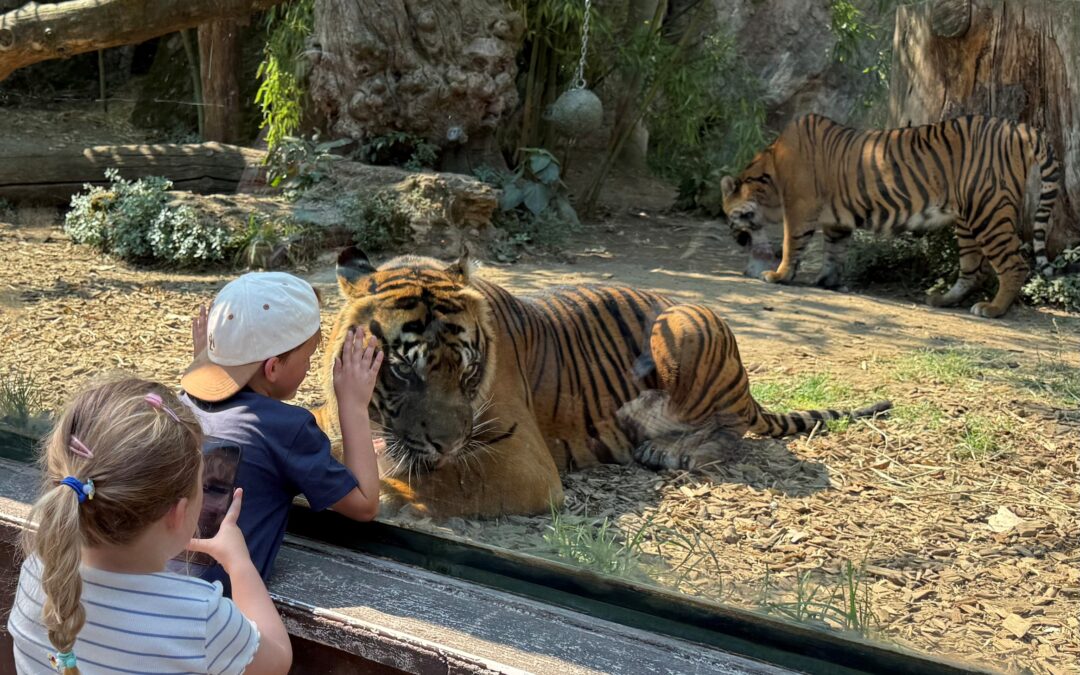 Domenica 10 maggio al Bioparco arriva l’evento “Invertiamo il rosso”