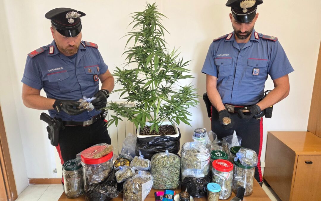 Nettuno, intensificati i controlli: un arresto per droga e 2 denunce e sanzioni